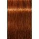 Igora Új Royal Absolutes hajfesték 60ml 7-70