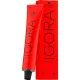 Igora Új Royal hajfesték 60ml 0-33